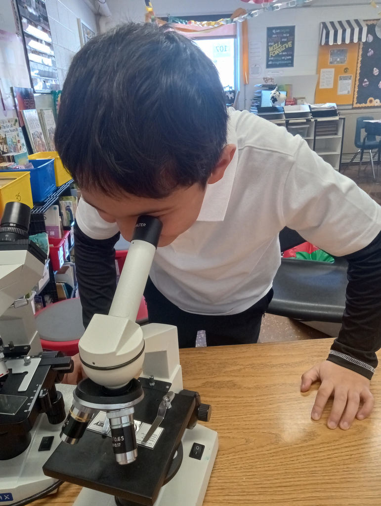 Rock County Christian Schools 3rd grade science