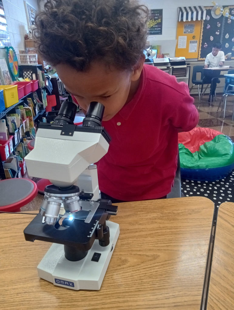 Rock County Christian Schools 3rd grade science