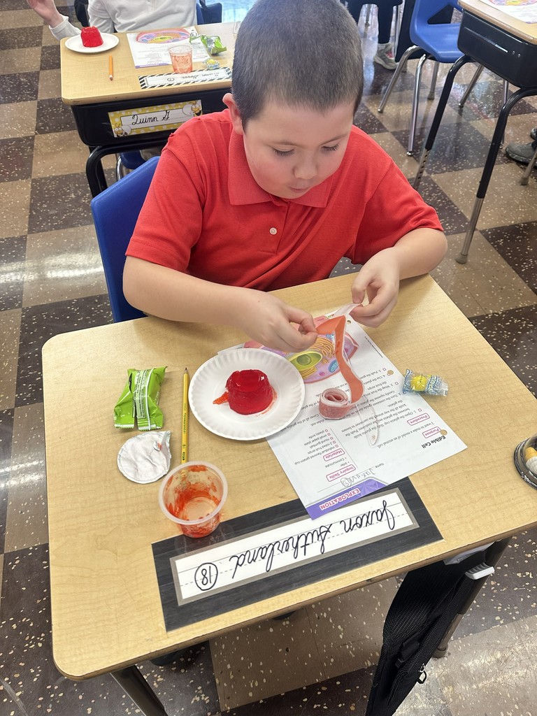 Rock County Christian Schools 3rd grade science