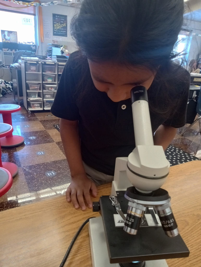 Rock County Christian Schools 3rd grade science