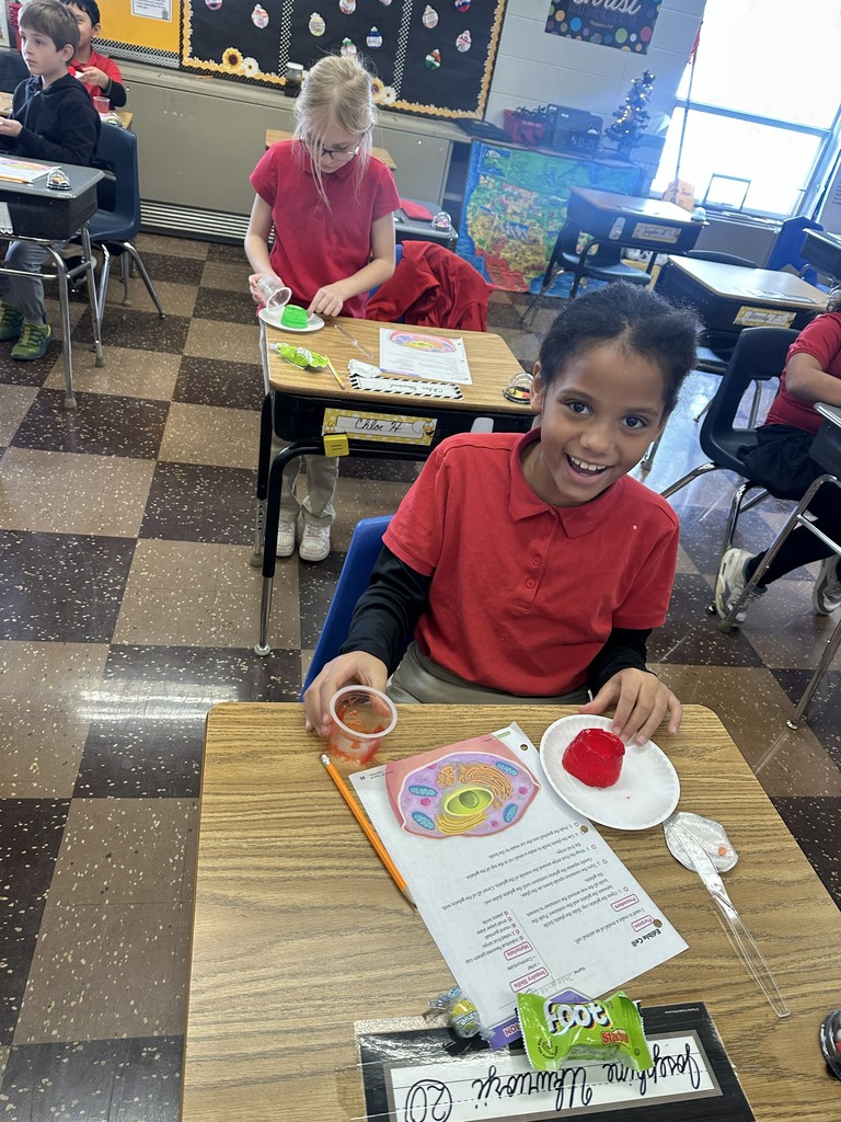 Rock County Christian Schools 3rd grade science