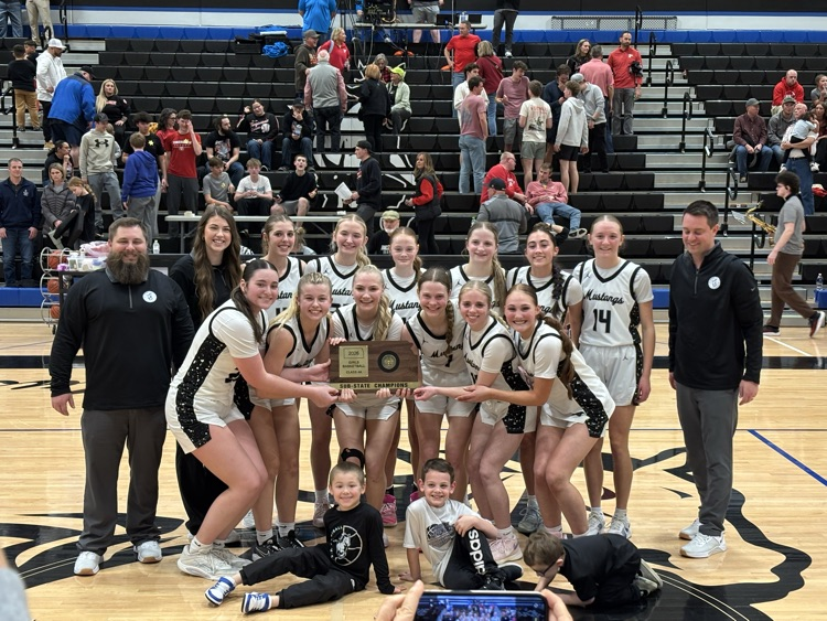 RCHS Lady Mustangs advance to State!