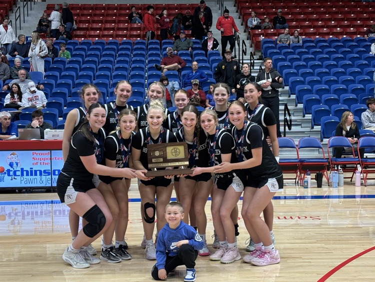 RCHS Lady Mustangs place 3rd in State!  Photo Credit Darwyn Thomlinson, RCHS AD.