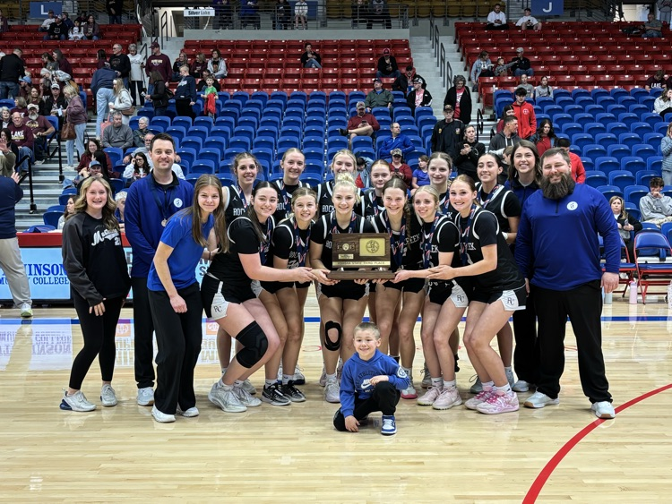 RCHS Lady Mustangs place 3rd in State!  Photo Credit Darwyn Thomlinson, RCHS AD.