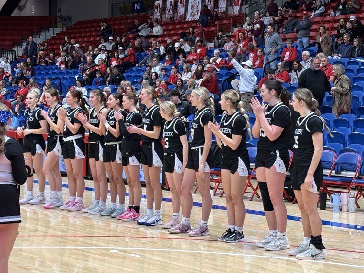 RCHS Lady Mustangs place 3rd in State!  Photo Credit Darwyn Thomlinson, RCHS AD.