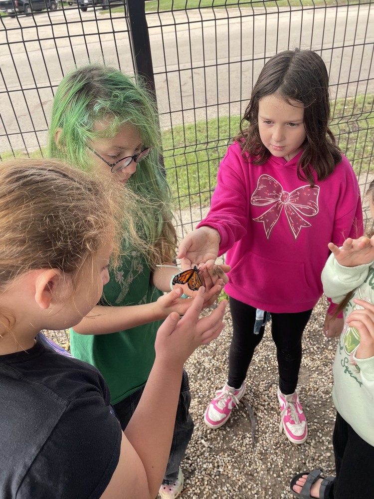 Merrill Blast Newsletter