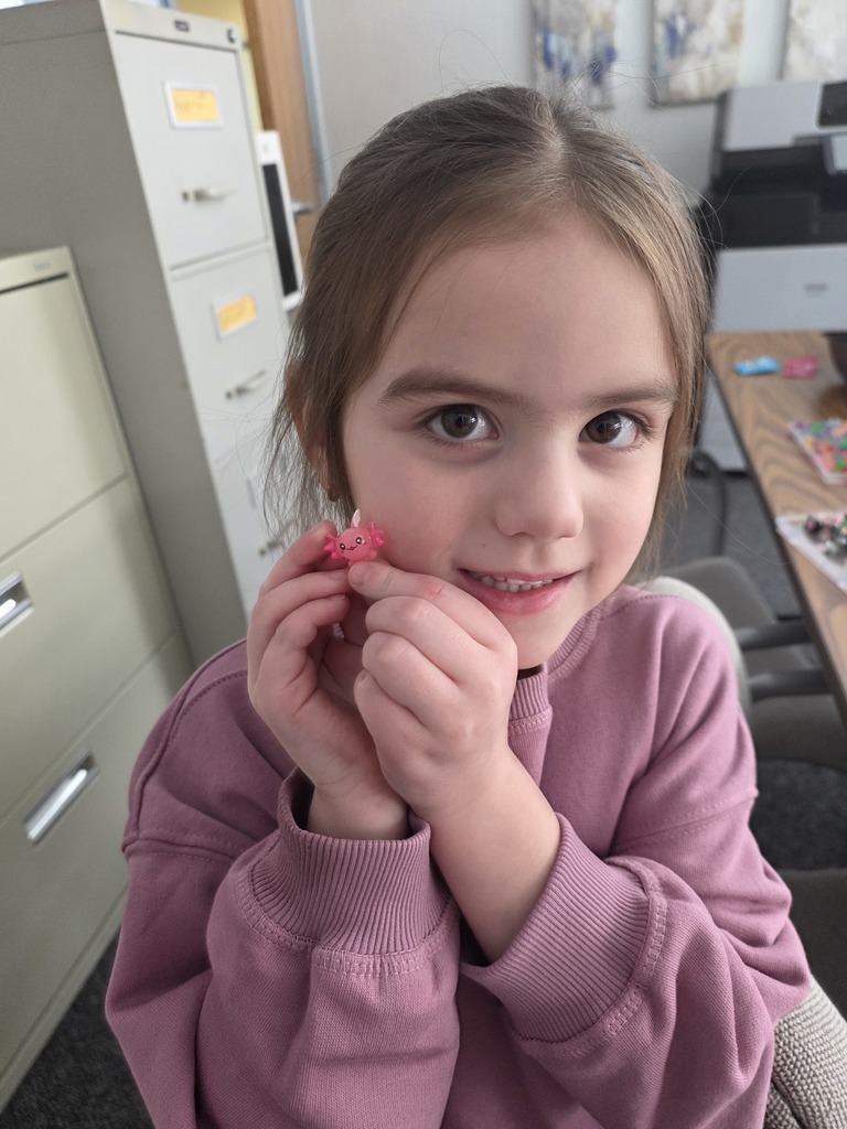 This are a big hit!!!