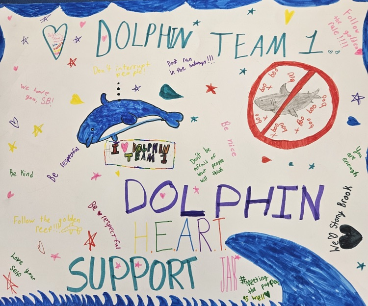 Dolphin team 1 poster decorated  