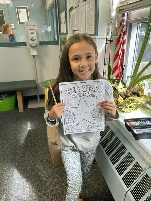 Aleni Hernandez - Seastar of the day! 