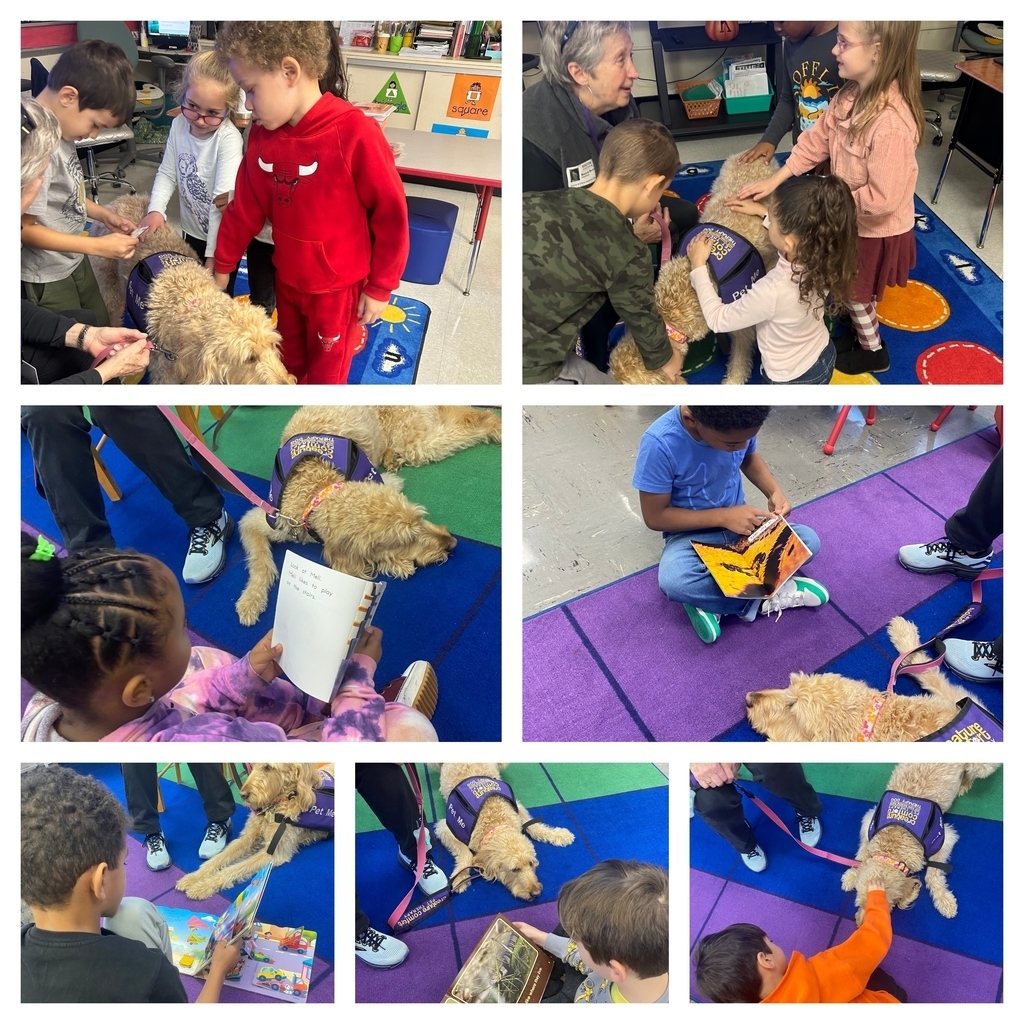 First grade students had so much fun reading to Zoey, the therapy dog! #DBOHasHEART