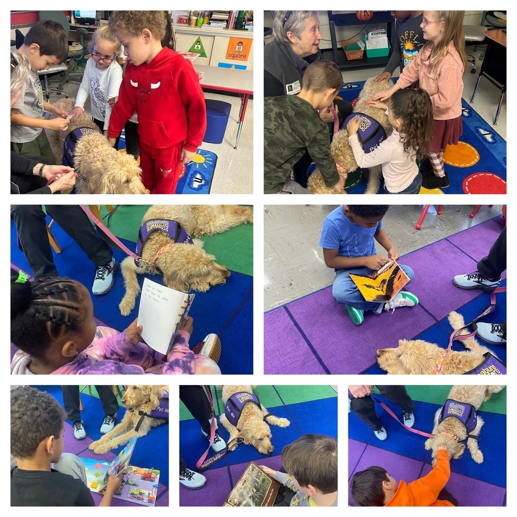 First grade students  had so much fun reading to Zoey, the therapy dog! #DBOHasHEART