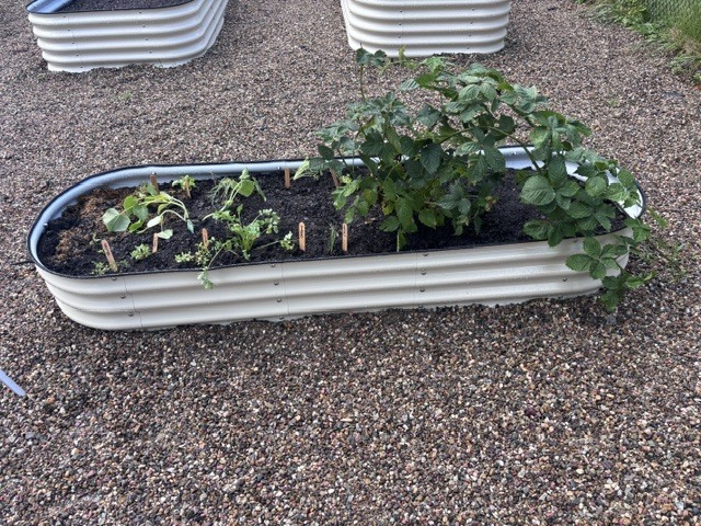 ESY Gardening