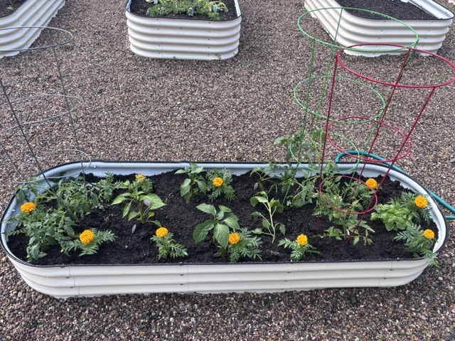 ESY Gardening