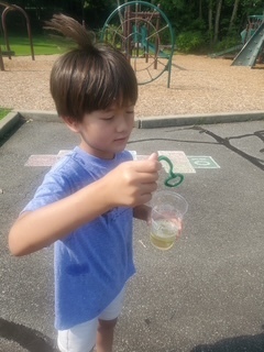 Bubbles