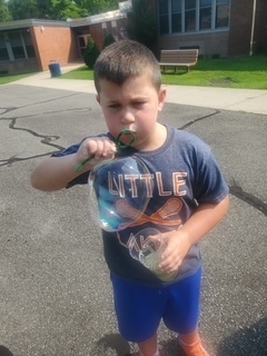 Bubbles