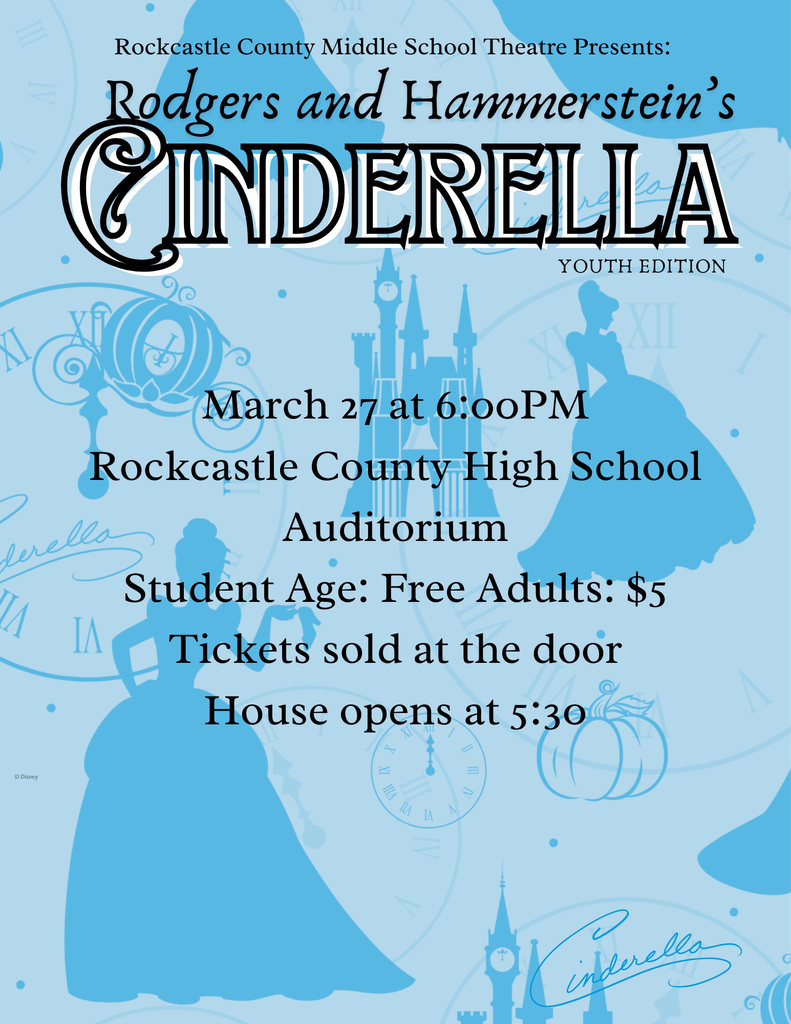 Cinderella Flyer