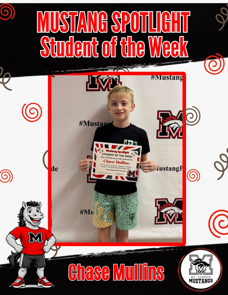 Mustang Spotlight