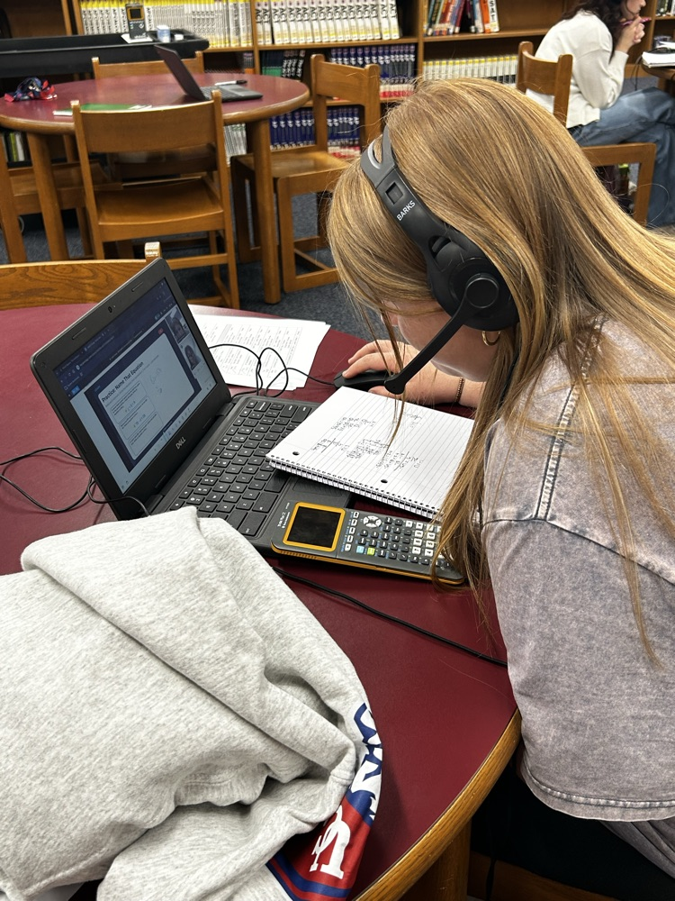 Student working at computer