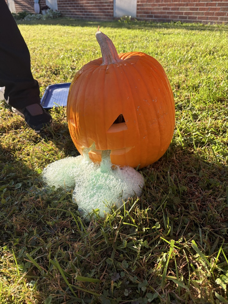 Fall Science Fun 
