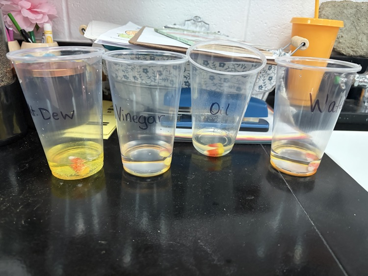 Fall Science Fun 