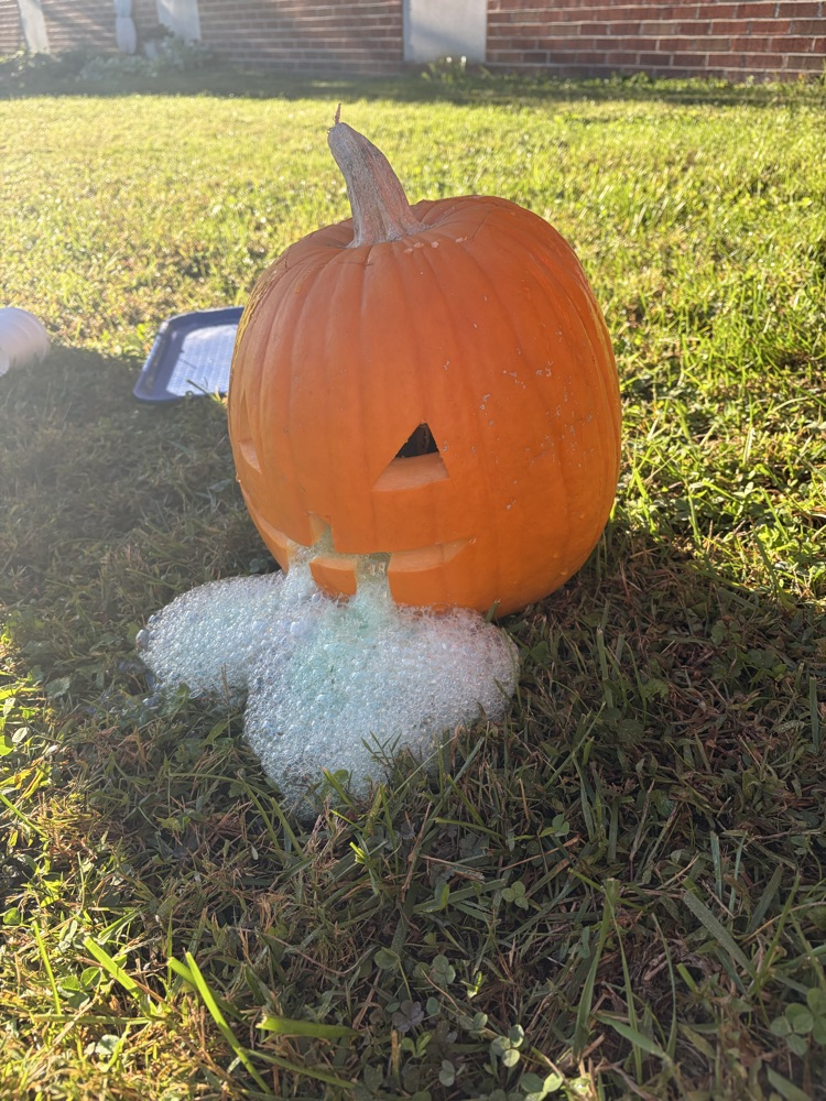 Fall Science Fun 