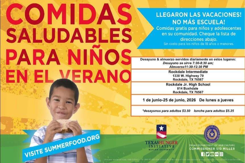 Comidas Saludables para niños en el verano