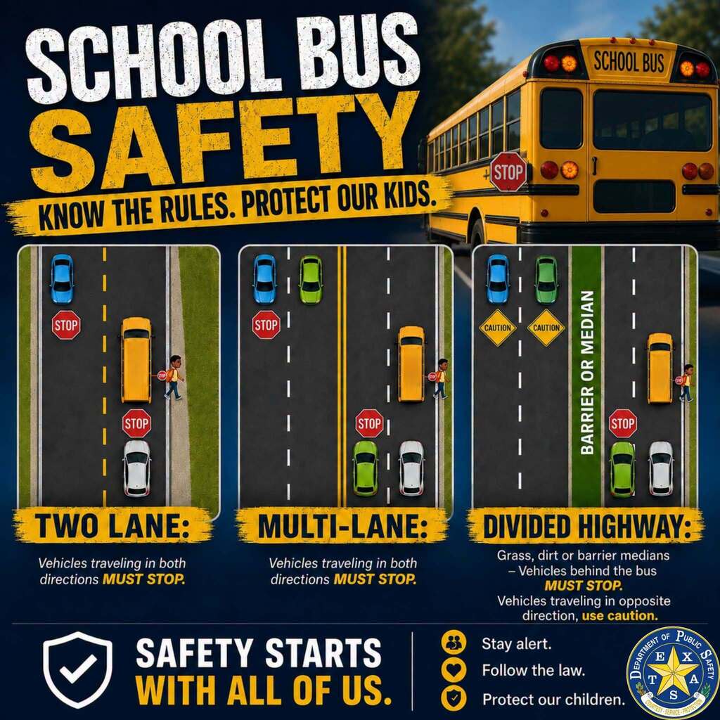 School bus safety rules infographic
