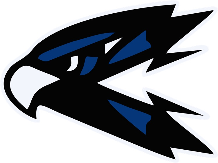 Falcon logo