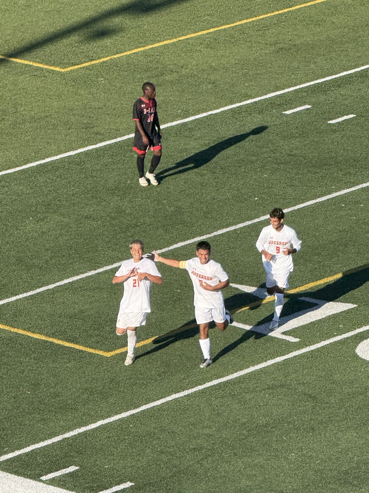 Lucio celebrates after his goal