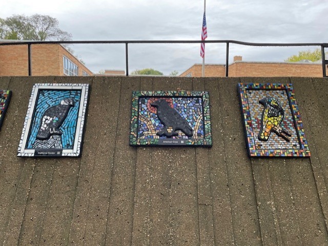 Haskell Mosaics
