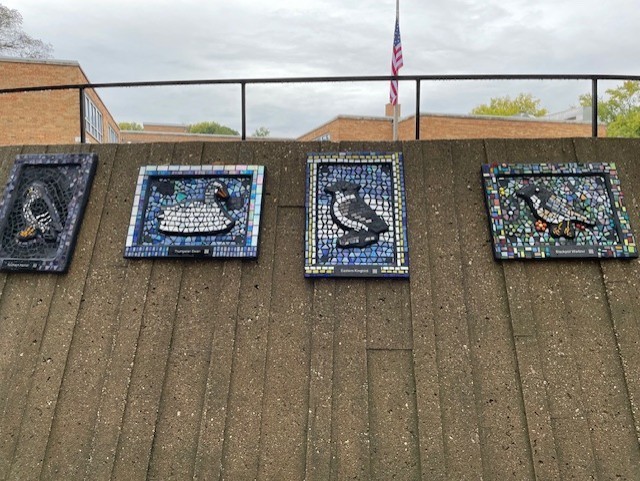 Haskell Mosaics