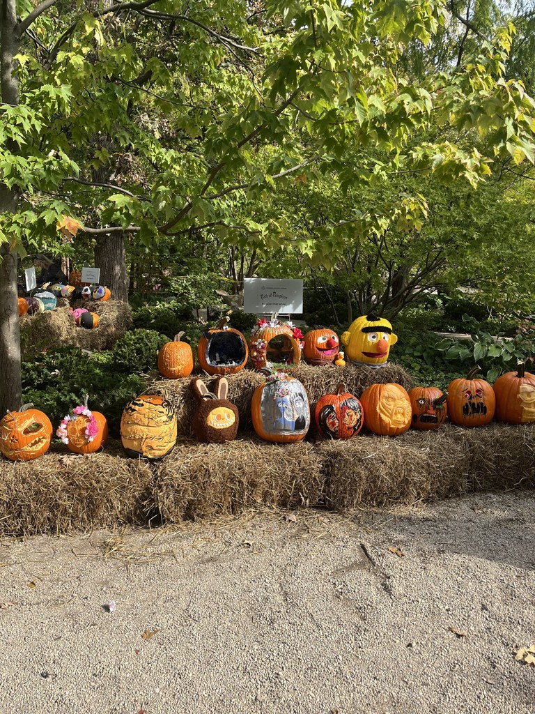 Roosevelt Pumpkins