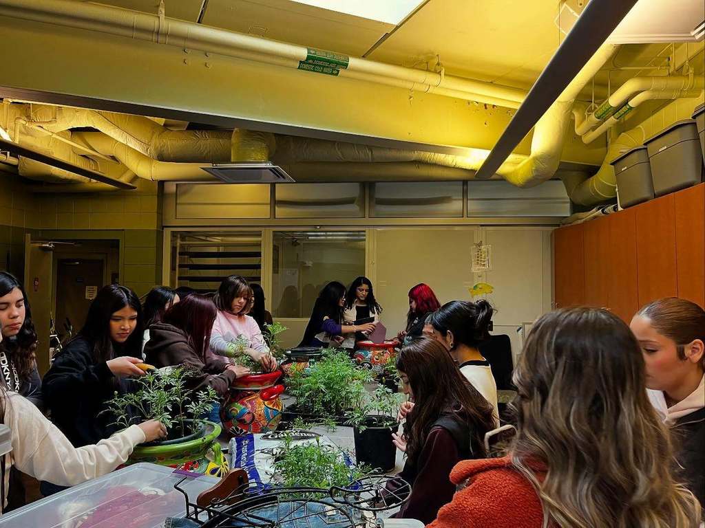 JHS Dia De Los Muertos at Nicholas Conservatory