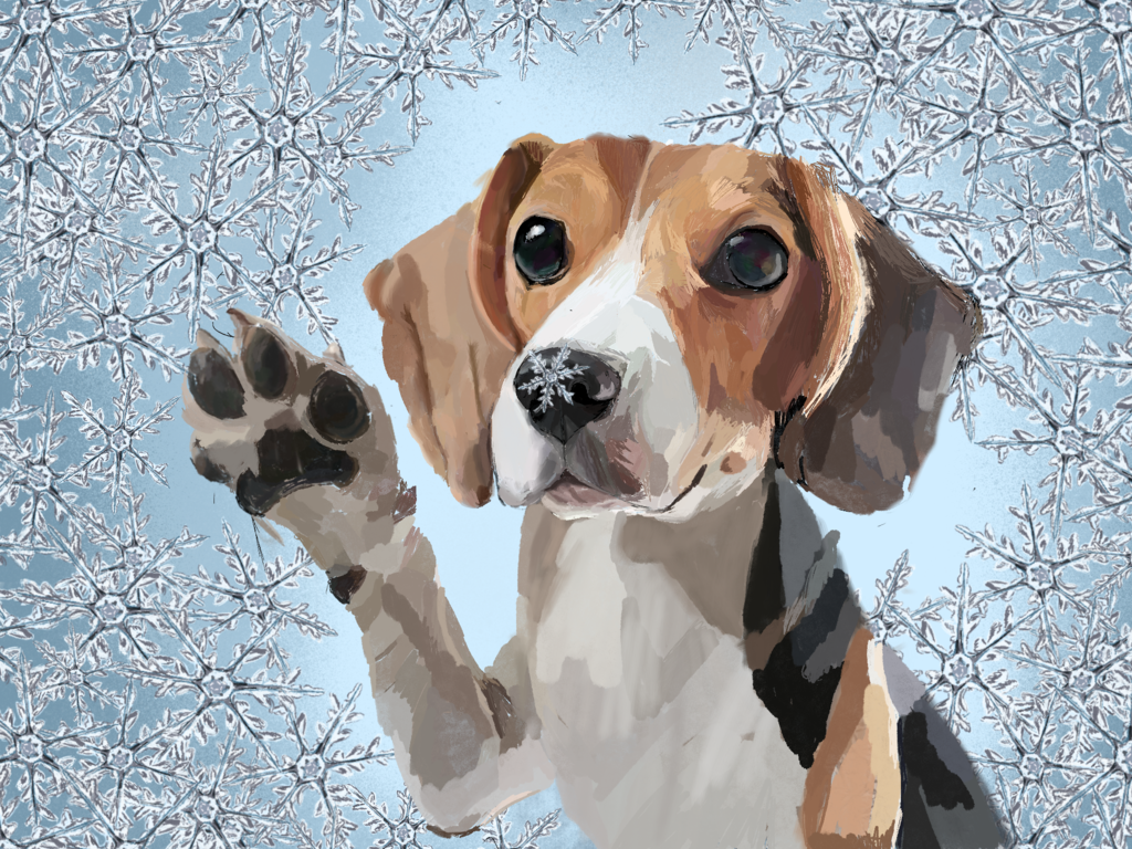 Noah's Ark Holiday Card