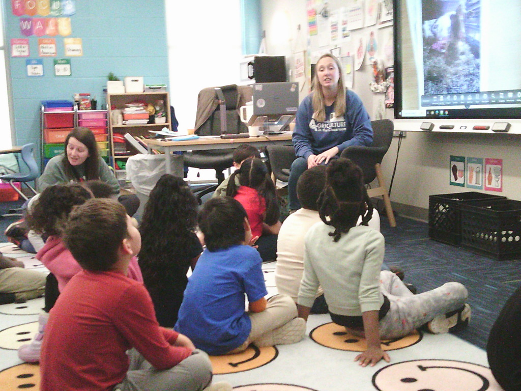 Agriculture in the Classroom for the Kindergartners on Friday..