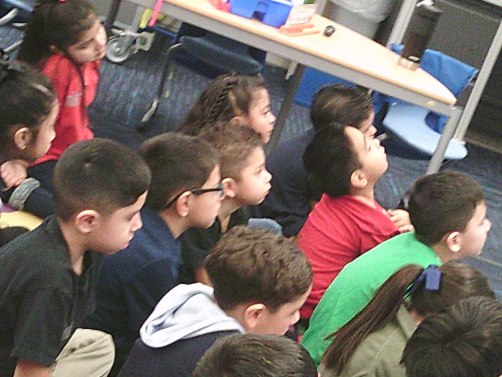 Agriculture in the Classroom for the Kindergartners on Friday..