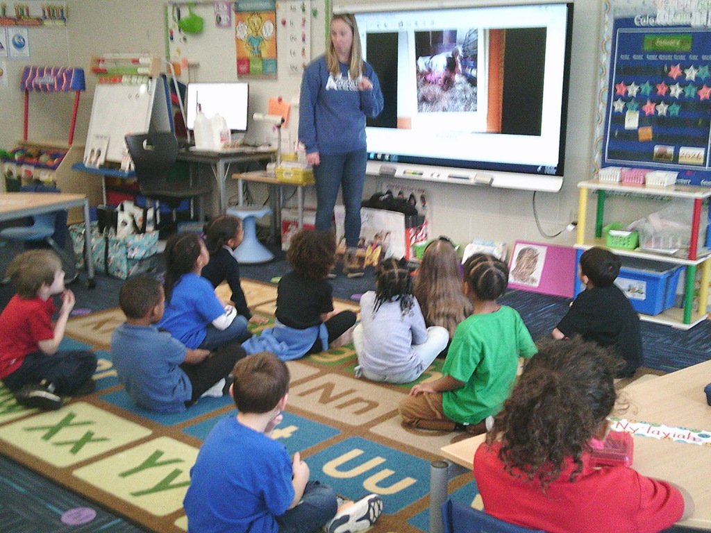 Agriculture in the Classroom for the Kindergartners on Friday..