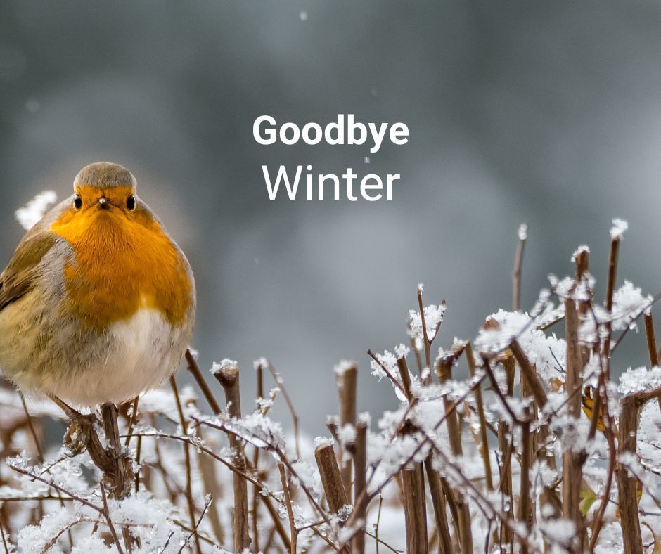 Goodbye Winter