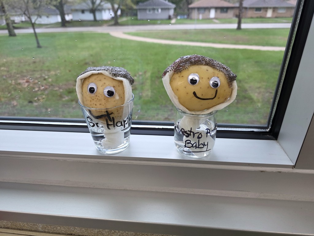 chia hair potato people 1