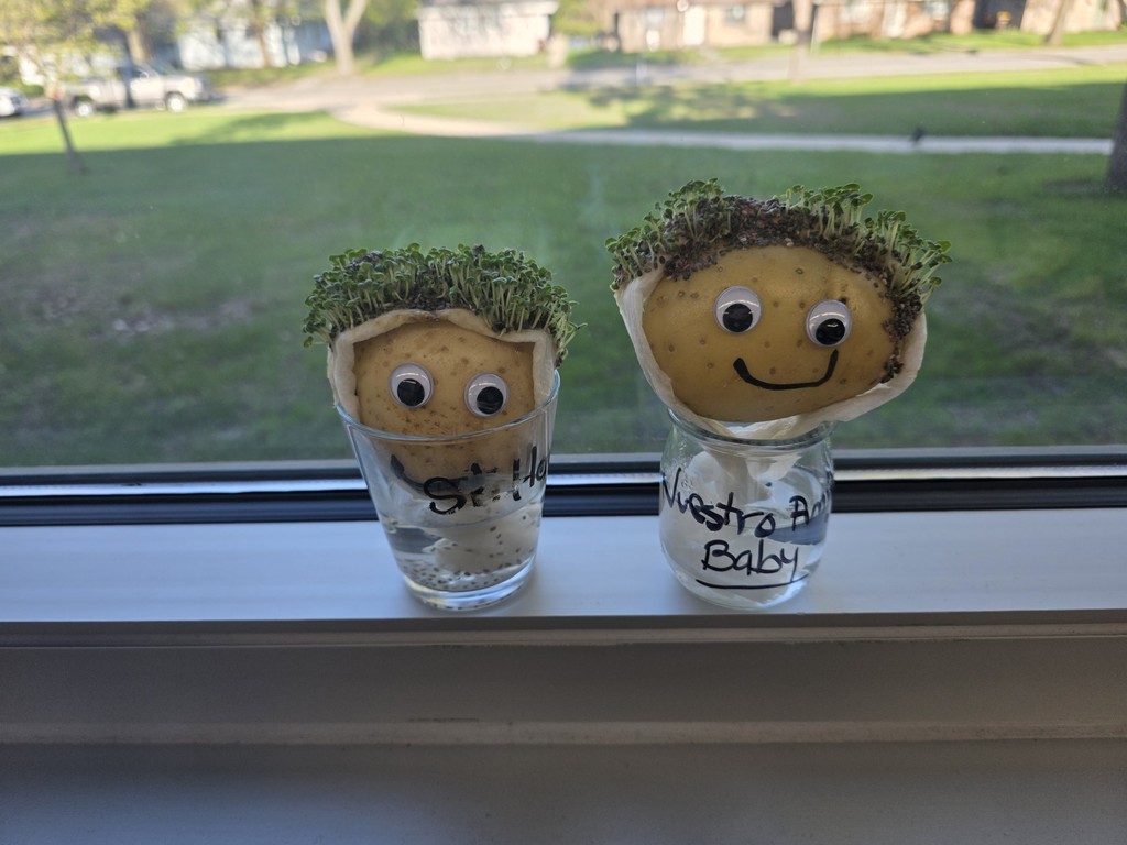 chia hair potato people 3