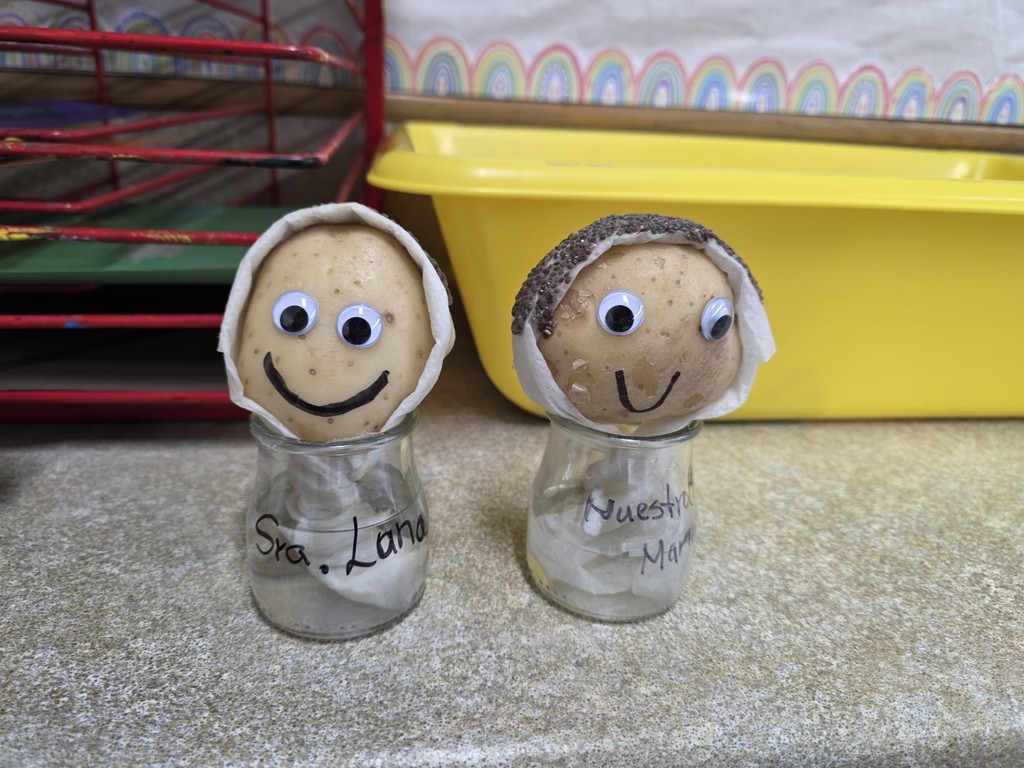 chia hair potato people 2