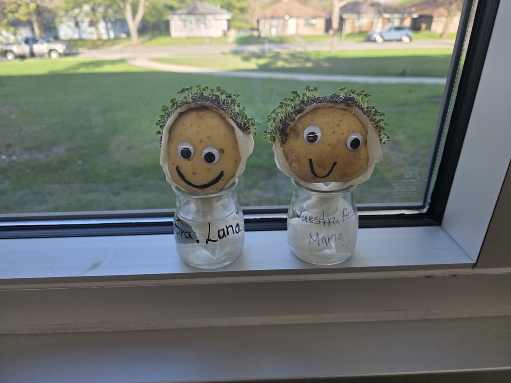 chia hair potato people 4