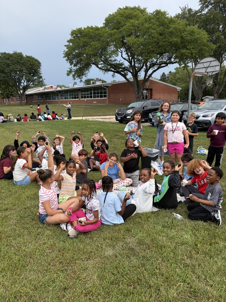 picnic