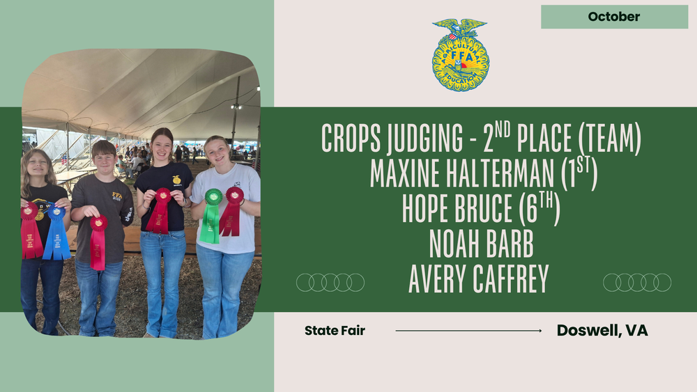 A team of 4 BHS students show their ribbons won at the state fair
