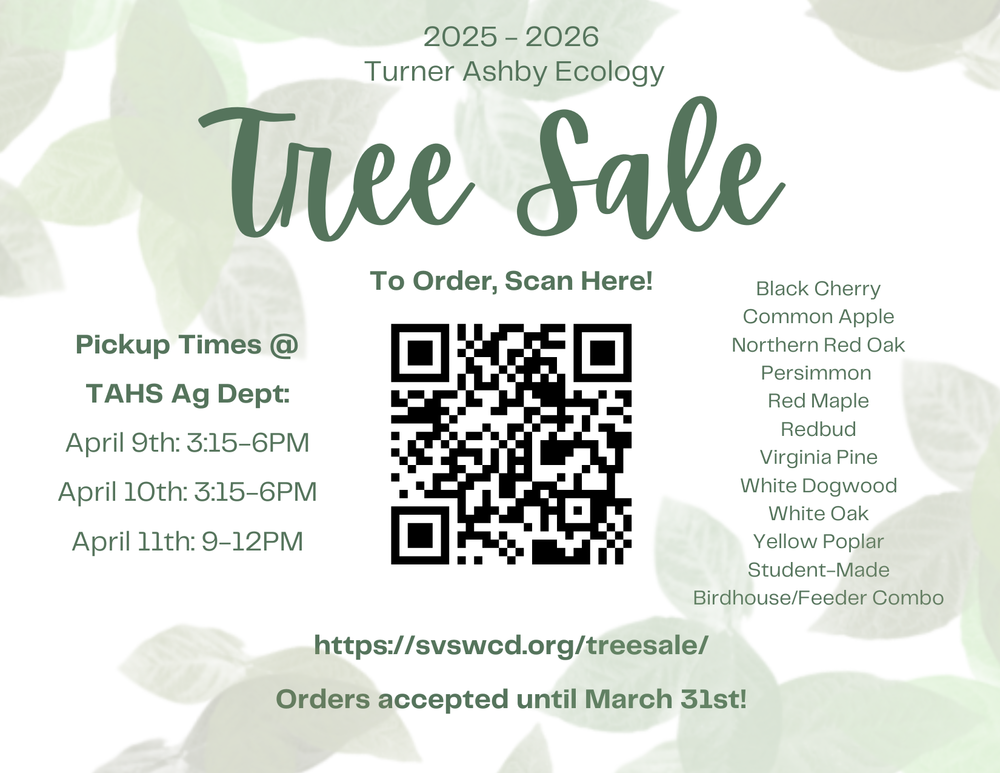 Tree Sale