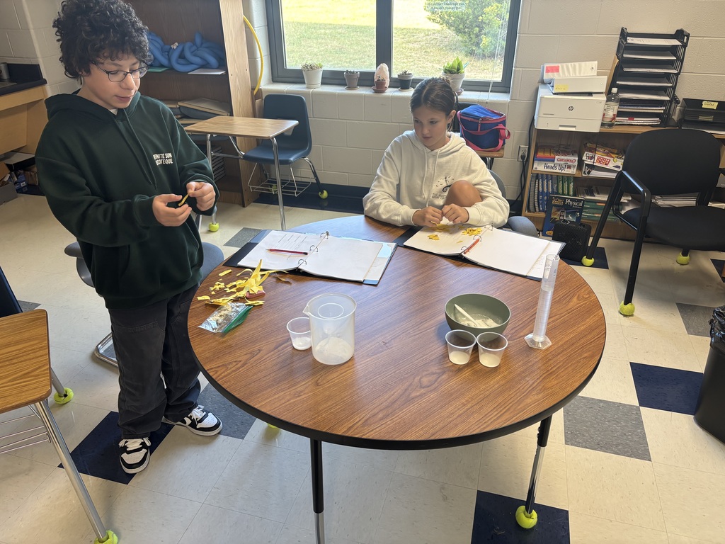 Student doing experiments