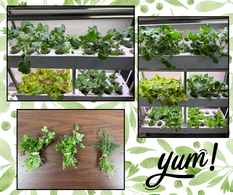 Photos of things grown