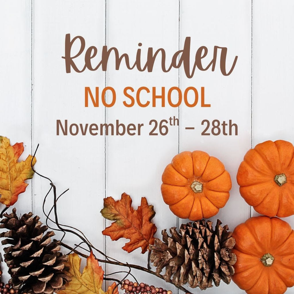 Picture of no school flyer