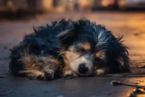 Screenshot 2026-02-09 7