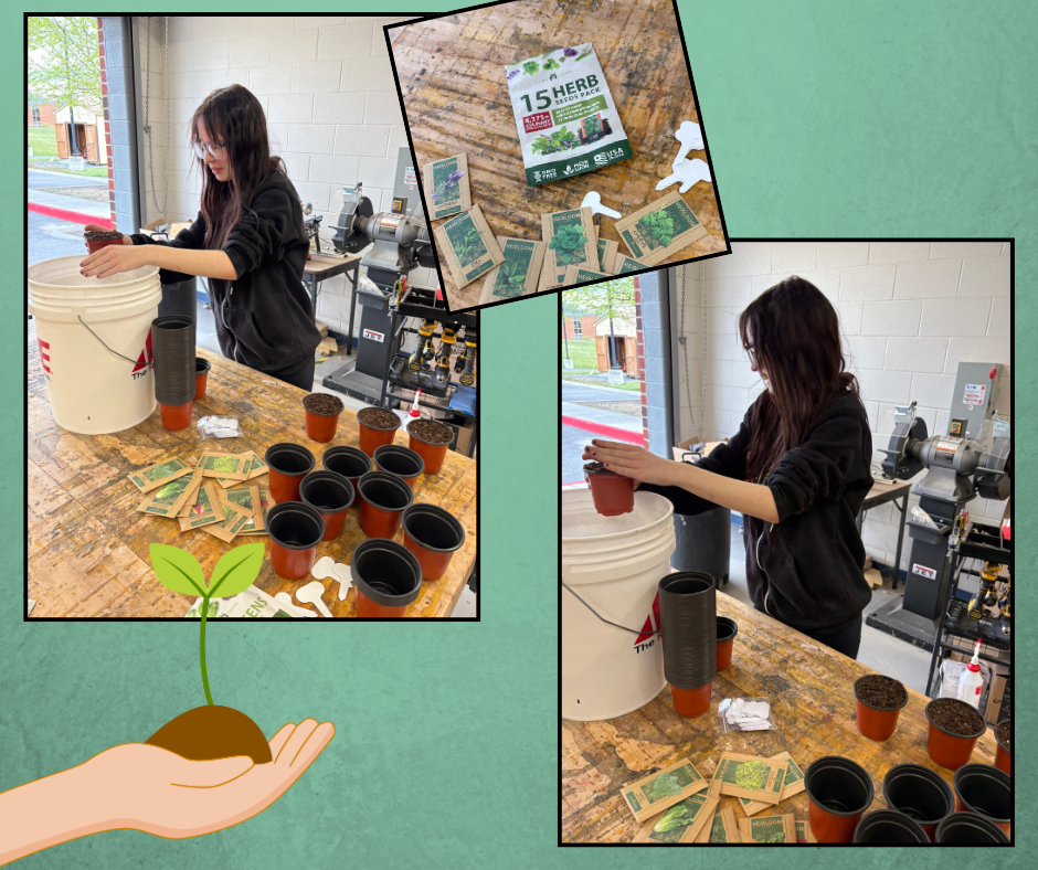 Three images: A woman plants seeds in a cup, a hand holds a sprouting plant, and a woman waters a potted plant.
